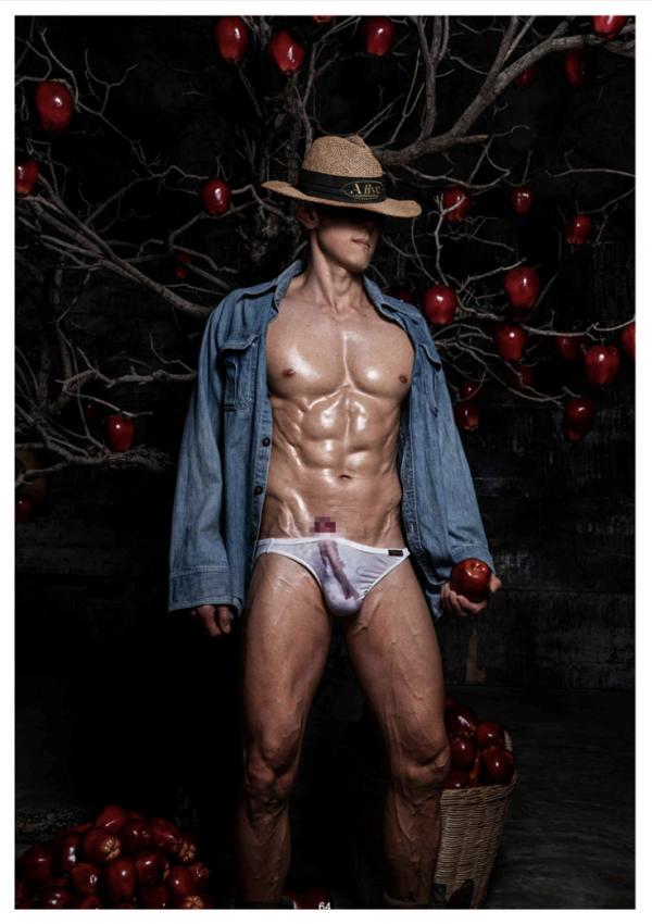 XPERIMENT-16--The-Apple-Picker